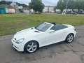 Mercedes-Benz SLK 200 SLK 200 Kompressor Automatik Sport Edition Weiß - thumbnail 13