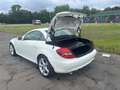 Mercedes-Benz SLK 200 SLK 200 Kompressor Automatik Sport Edition Weiß - thumbnail 16