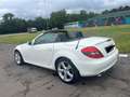 Mercedes-Benz SLK 200 SLK 200 Kompressor Automatik Sport Edition Weiß - thumbnail 4