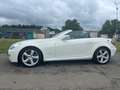 Mercedes-Benz SLK 200 SLK 200 Kompressor Automatik Sport Edition Weiß - thumbnail 15