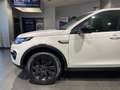 Land Rover Discovery Sport 2.0 TD4 150 CV HSE Rif. Antonio Wit - thumbnail 2