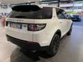Land Rover Discovery Sport 2.0 TD4 150 CV HSE Rif. Antonio bijela - thumbnail 5