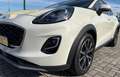 Ford Puma 1.0 EcoBoost Hybrid 125 CV PREZZO+IVA AUTOCARRO/N1 Weiß - thumbnail 10