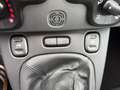 Fiat Panda Lounge Grau - thumbnail 12
