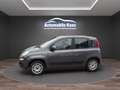 Fiat Panda Lounge Grau - thumbnail 3