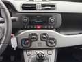 Fiat Panda Lounge Grau - thumbnail 15