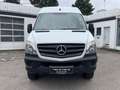 Mercedes-Benz Sprinter 4x4 Sprinter L2H2 Top Camperbasis , Standheiz Weiß - thumbnail 3