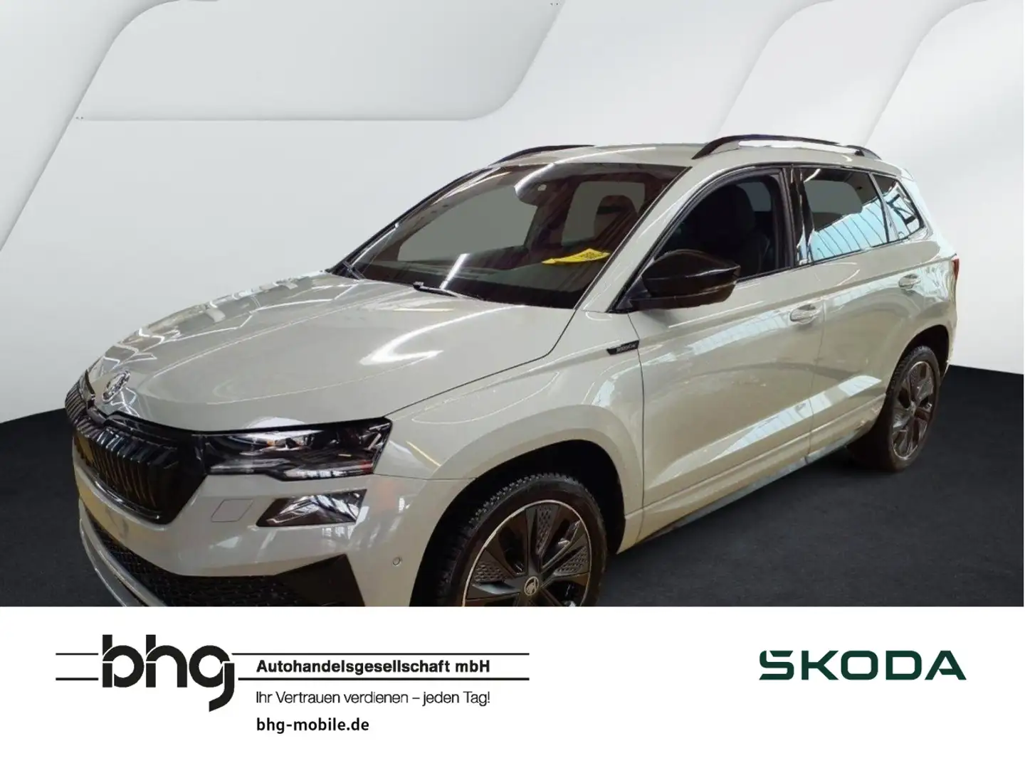 Skoda Karoq 1.5 TSI DSG Sportline Grau - 1
