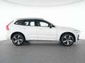 Volvo XC60 T8 Recharge AWD R-Design 19"+FOUR-C+ACC+360 Weiß - thumbnail 12