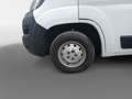 Fiat Ducato Fg. 35 2.3Mjt L3 H2 140CV Blanco - thumbnail 10