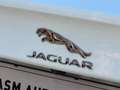 Jaguar XE 2.0 Prestige Leder Camera 49000km! Blanco - thumbnail 23