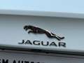Jaguar XE 2.0 Prestige Leder Camera 49000km! Wit - thumbnail 16