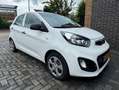 Kia Picanto Picanto 1.0 CVVT ComfL.LPG Wit - thumbnail 1
