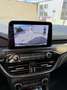 Ford Kuga Kuga 2,5 Duratec PHEV Vignale Aut. Vignale Schwarz - thumbnail 16