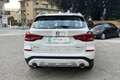 BMW X3 X3 xDrive20d 48V xLine Wit - thumbnail 6