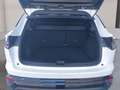 Renault Austral Techno Mild Hybrid 160 Automatik Weiß - thumbnail 12