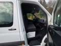 Mercedes-Benz Sprinter 314.Maxi.L3H2.Klima.Automat Weiß - thumbnail 13