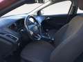 Ford Focus Titanium Rouge - thumbnail 9