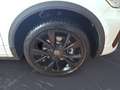 Volkswagen T-Roc 1.5 TSI DSG R-Line *AHK*NAVI*KAM Weiß - thumbnail 12