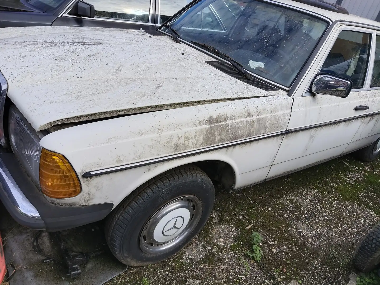 Mercedes-Benz Baureihe 123 240 D - 2