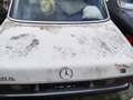 Mercedes-Benz Baureihe 123 240 D - thumbnail 8
