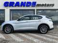 Alfa Romeo Stelvio Stelvio 2023 2.2 t Sprint rwd 160cv auto Grijs - thumbnail 4