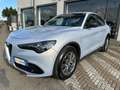 Alfa Romeo Stelvio Stelvio 2023 2.2 t Sprint rwd 160cv auto Grijs - thumbnail 17