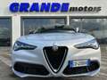 Alfa Romeo Stelvio Stelvio 2023 2.2 t Sprint rwd 160cv auto Grijs - thumbnail 2