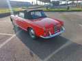 Fiat 1500 1600 s osca Rot - thumbnail 2