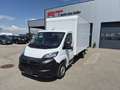 Peugeot Boxer 335 Koffer mit LBW Weiß - thumbnail 1