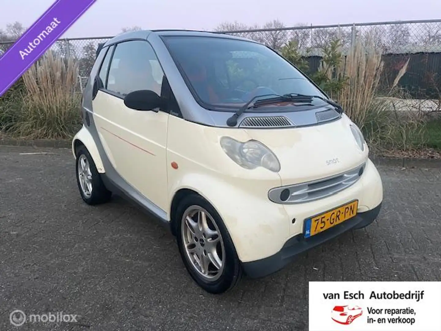 smart Sonstige cabrio & passion Grau - 1