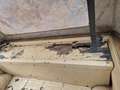 DAF Sonstige Legervoertuig YA66 Beige - thumbnail 6