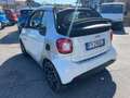 smart city-coupé/city-cabrio SMART FORTWO 1.0 71CV PASSION BIANCA E CELLULA GRI Blanc - thumbnail 6