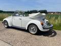 Volkswagen Kever Cabriolet Champagne Edition Blanc - thumbnail 7