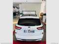Ford Kuga 1.5 EcoBlue 120 CV 2WD ST-Line X !!!TETTO PANORAMI Bianco - thumbnail 6