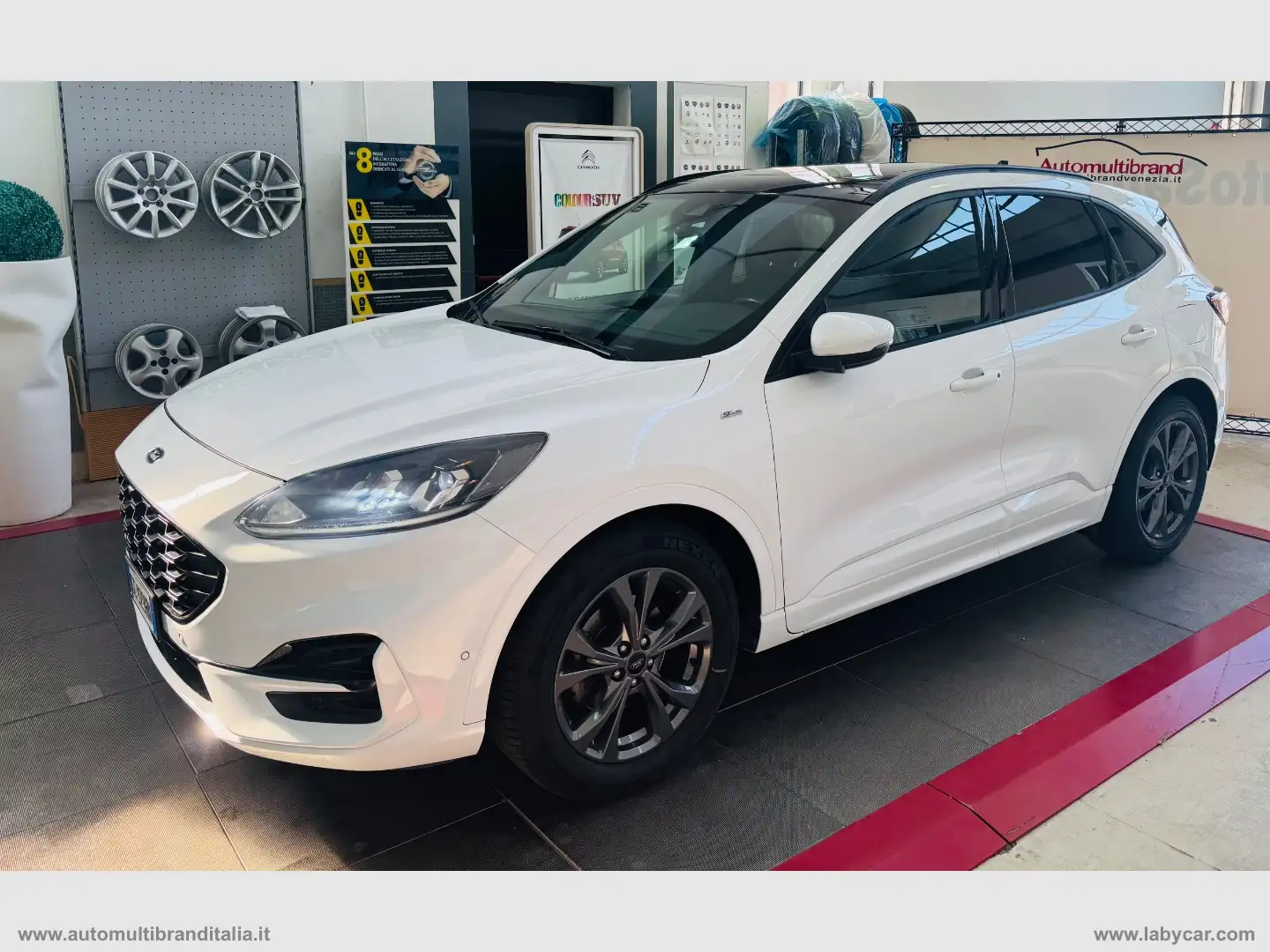 Ford Kuga 1.5 EcoBlue 120 CV 2WD ST-Line X !!!TETTO PANORAMI Bianco - 1