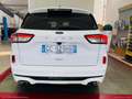 Ford Kuga 1.5 EcoBlue 120 CV 2WD ST-Line X !!!TETTO PANORAMI Bianco - thumbnail 27