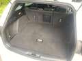 Ford Focus Traveller 1,5 EcoBlue ST-Line X Aut. Weiß - thumbnail 19