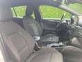 Ford Focus Traveller 1,5 EcoBlue ST-Line X Aut. Weiß - thumbnail 16