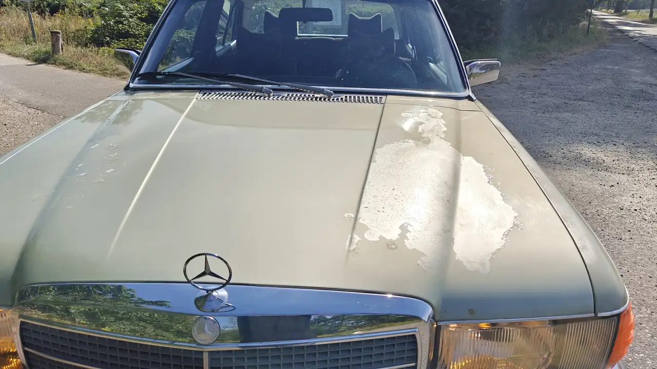 Mercedes-Benz 450 S450 / 450 SEL, foto 4