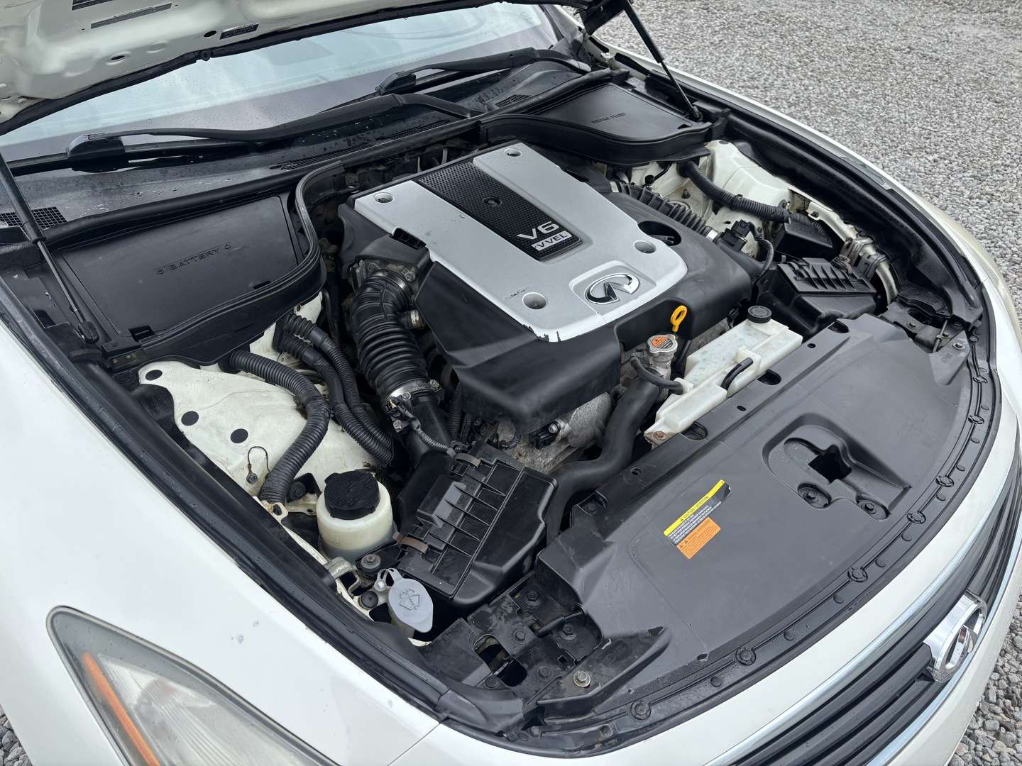 Image 8