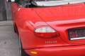 Jaguar XK8 Cabrio 2 Jahre Garantie Rosso - thumbnail 10
