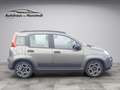 Fiat Panda 1.0 City Life Mild Hybrid Klima Navi HUAU neu GA Grau - thumbnail 7