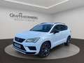 CUPRA Ateca 2.0 TSI 221kW 7Gang DSG Basis 4Drive Komfortpaket Wit - thumbnail 1