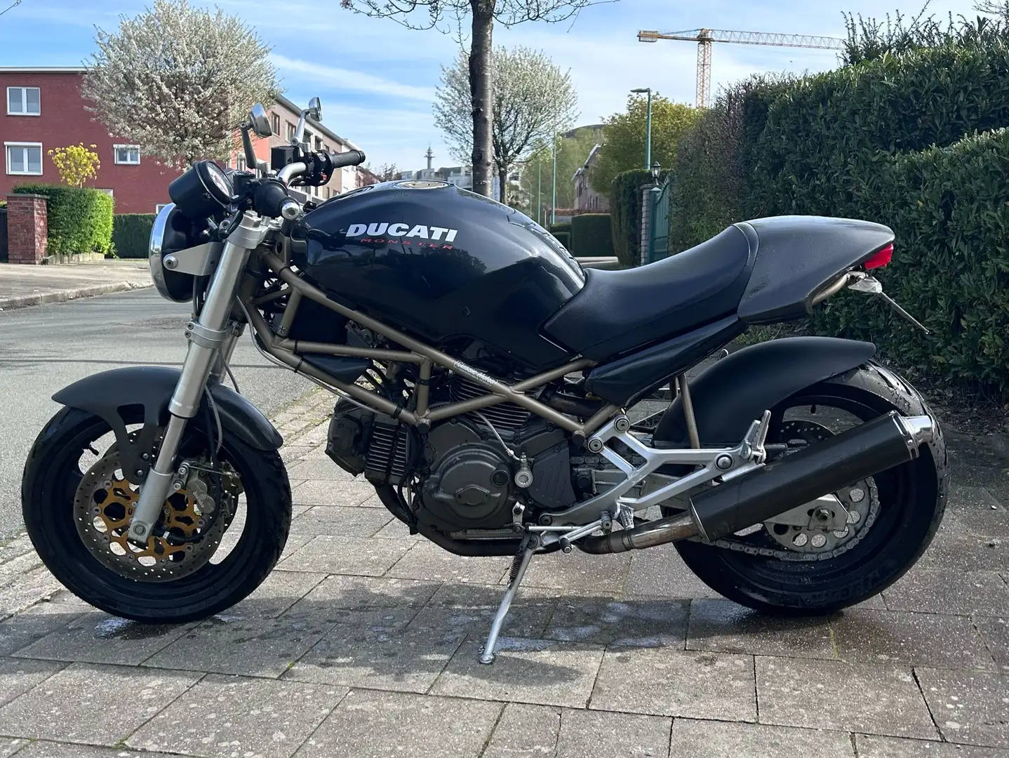 Ducati Monster 600 bos carbone Negro - 2