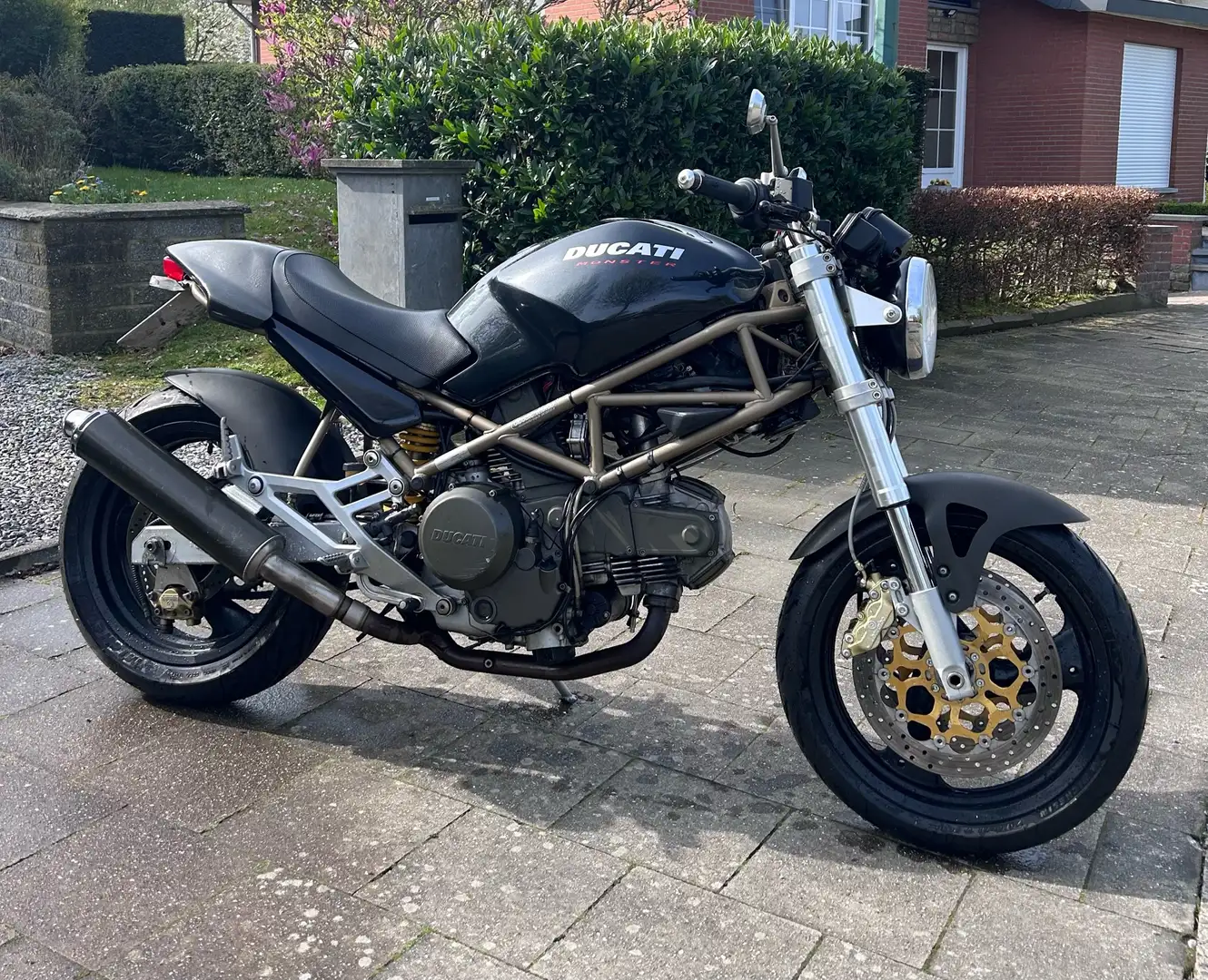 Ducati Monster 600 bos carbone Noir - 1
