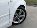 Audi A4 S-Line supercharged Weiß - thumbnail 24
