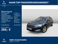 Skoda Superb Combi 1.5TSI DSG Ambition LED Pano AHK Blau - thumbnail 2