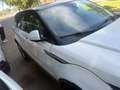 Land Rover Range Rover Evoque Range Rover Evoque 2.0TD4 Pure 4WD 150 Pure Blanco - thumbnail 6
