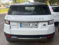 Land Rover Range Rover Evoque Range Rover Evoque 2.0TD4 Pure 4WD 150 Pure Blanco - thumbnail 5